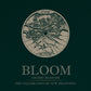 BLOOM – Premium Cherry Blossom Scented Candle