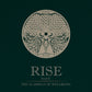 RISE – Premium Daisy Scented Candle